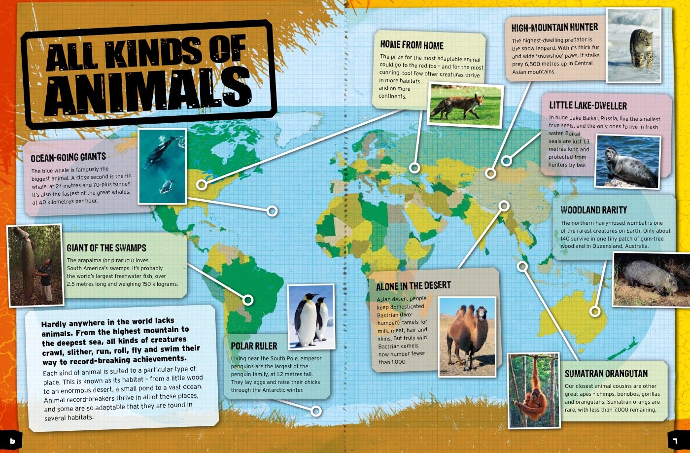 Animal Record Breakers