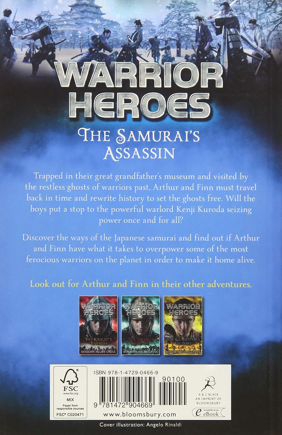 Warrior Heroes: Samurai's Assassin
