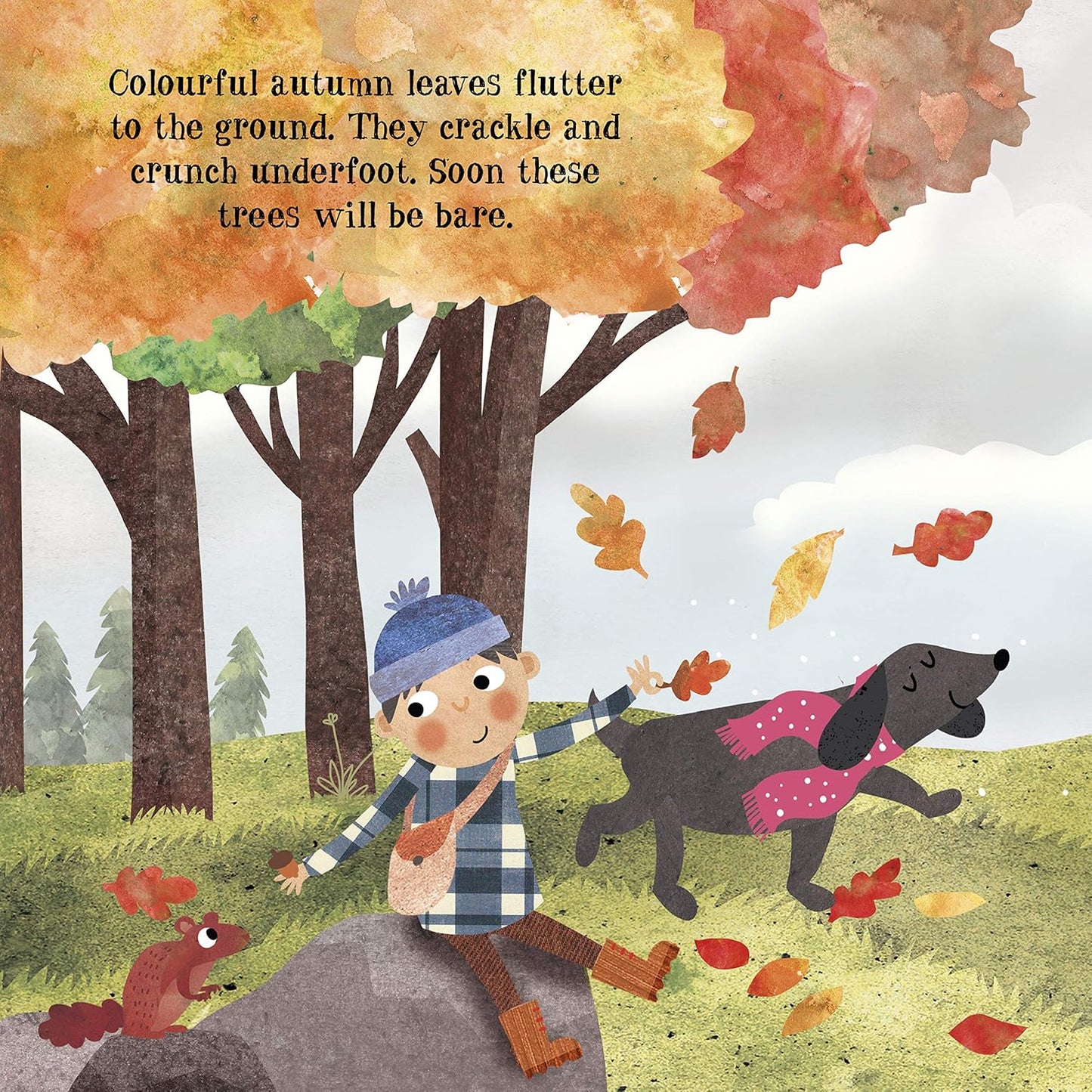 Look & Wonder: A Stroll Through the Seasons