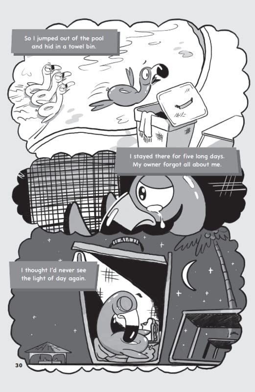 The Inflatables: Featuring TWO splashtastic stories: Bad Air Day and Mission Un-poppable (Pack of 10)