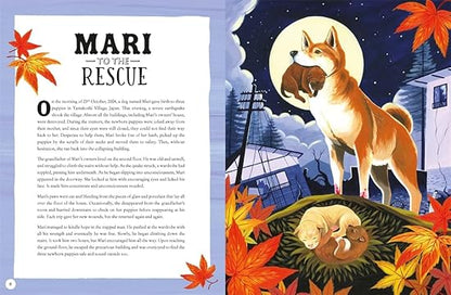 Animal Superheroes