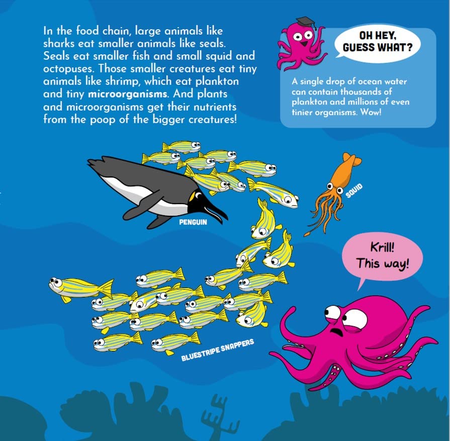 Ocean is Kind of a Big Deal