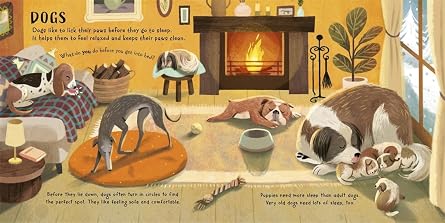 TIME FOR BED, ANIMALS