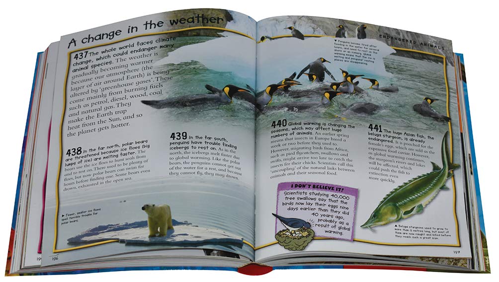 Fantastic Animal Facts