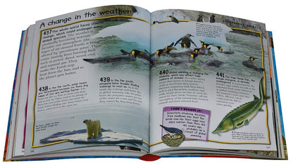 Fantastic Animal Facts