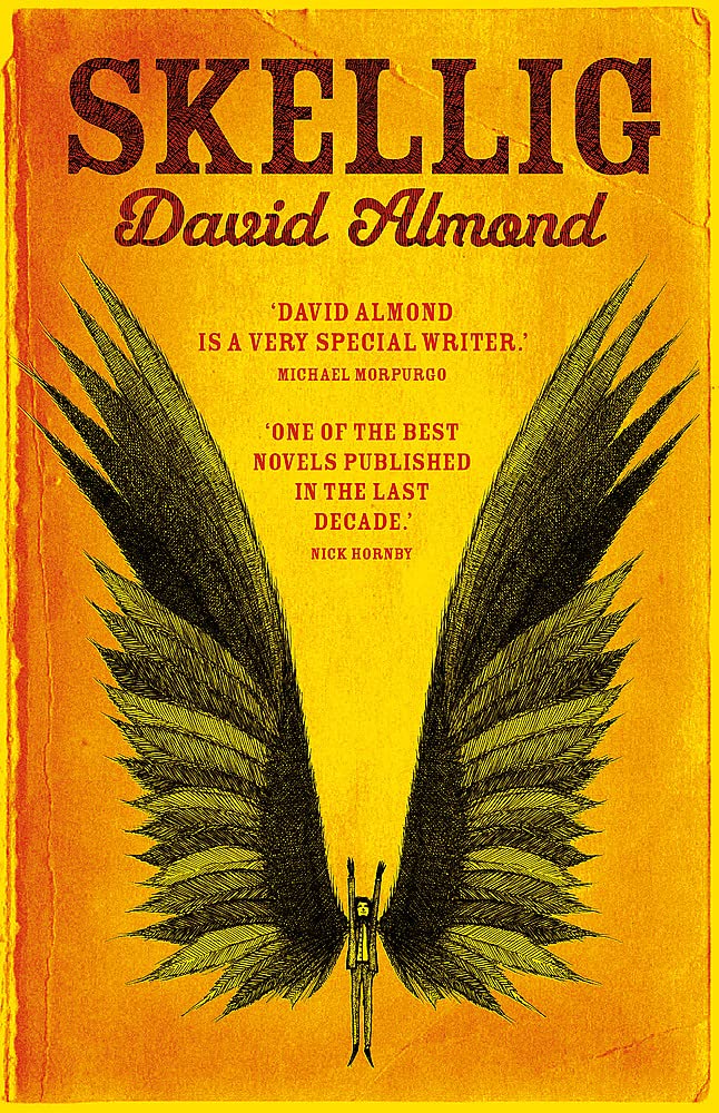 Skellig ( Pack of 30 )