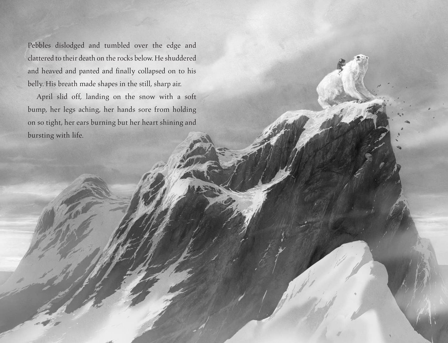 The Last Bear ( Pack of 30 )