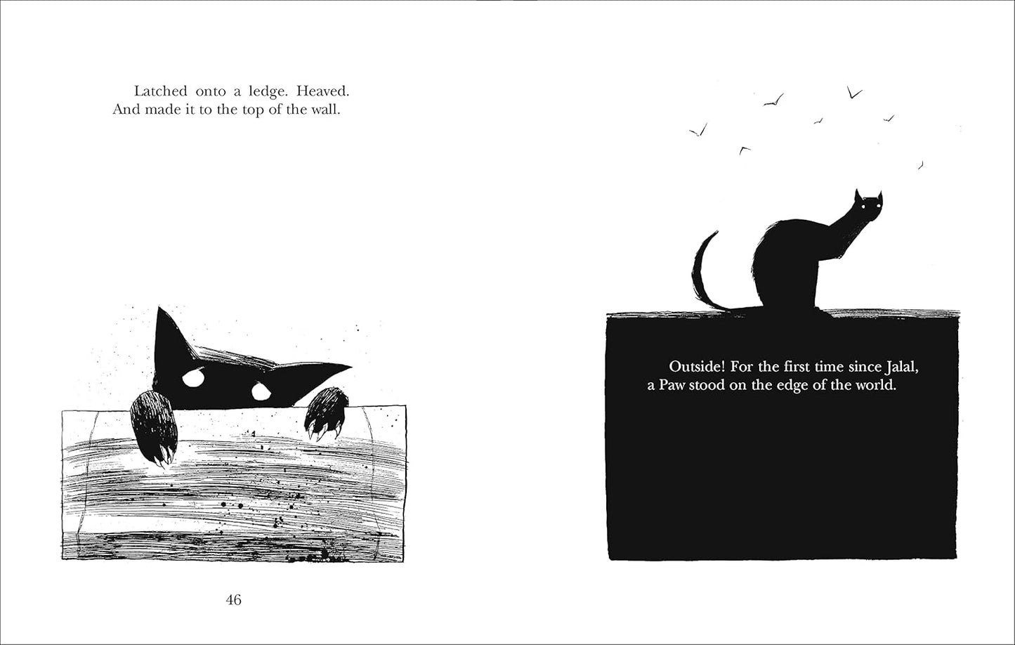 Varjak Paw ( Pack of 30 )