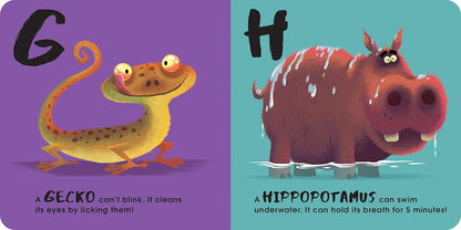 Animal ABC (2) (Nikolas Ilic’s First Concepts)