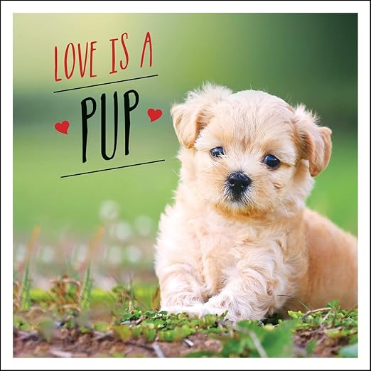 Love is a Pup: A Dog-Tastic Celebration of the World's Cutest Puppies (Pack of 10)