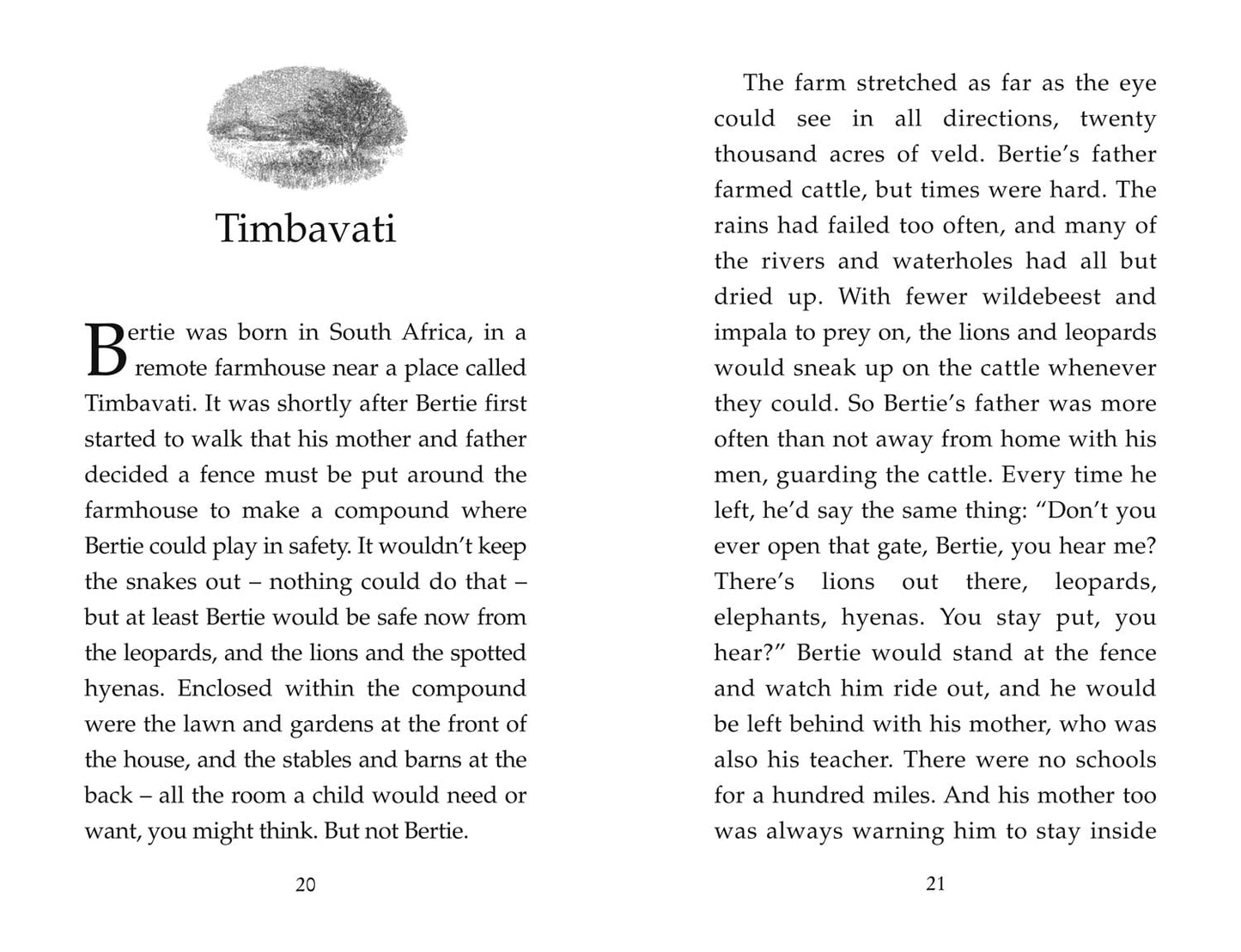 The butterfly lion ( Pack of 30 )