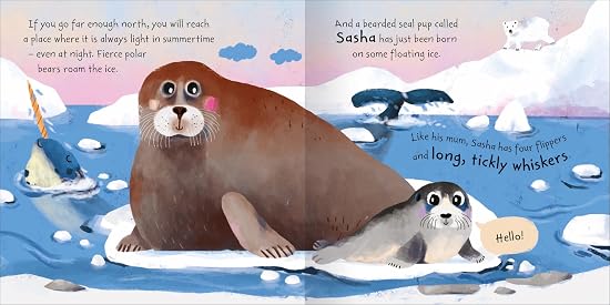 Sea Stories — SEA SASHA THE SEAL [not-AU, not-NZ]