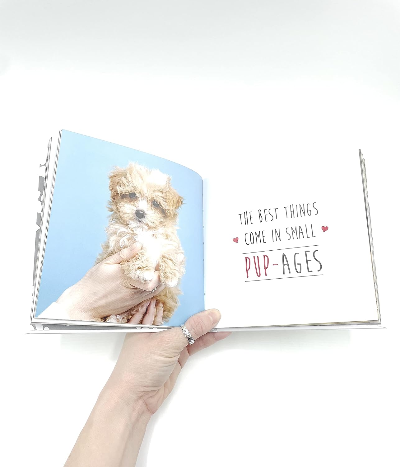 Love is a Mutt: A Dog-Tastic Celebration of the World's Cutest Mixed and Cross Breeds (Pack of 10)