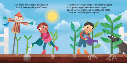 Look & Wonder: Amazing Life Cycle of Plants