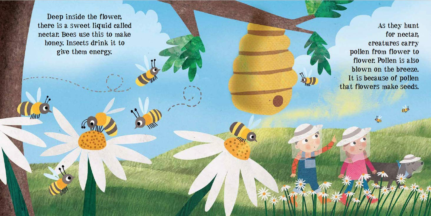 Look & Wonder: Amazing Life Cycle of Plants