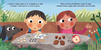 Look & Wonder: Amazing Life Cycle of Plants