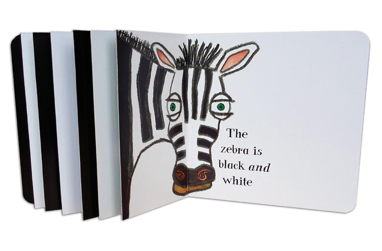 What Is Black & White?