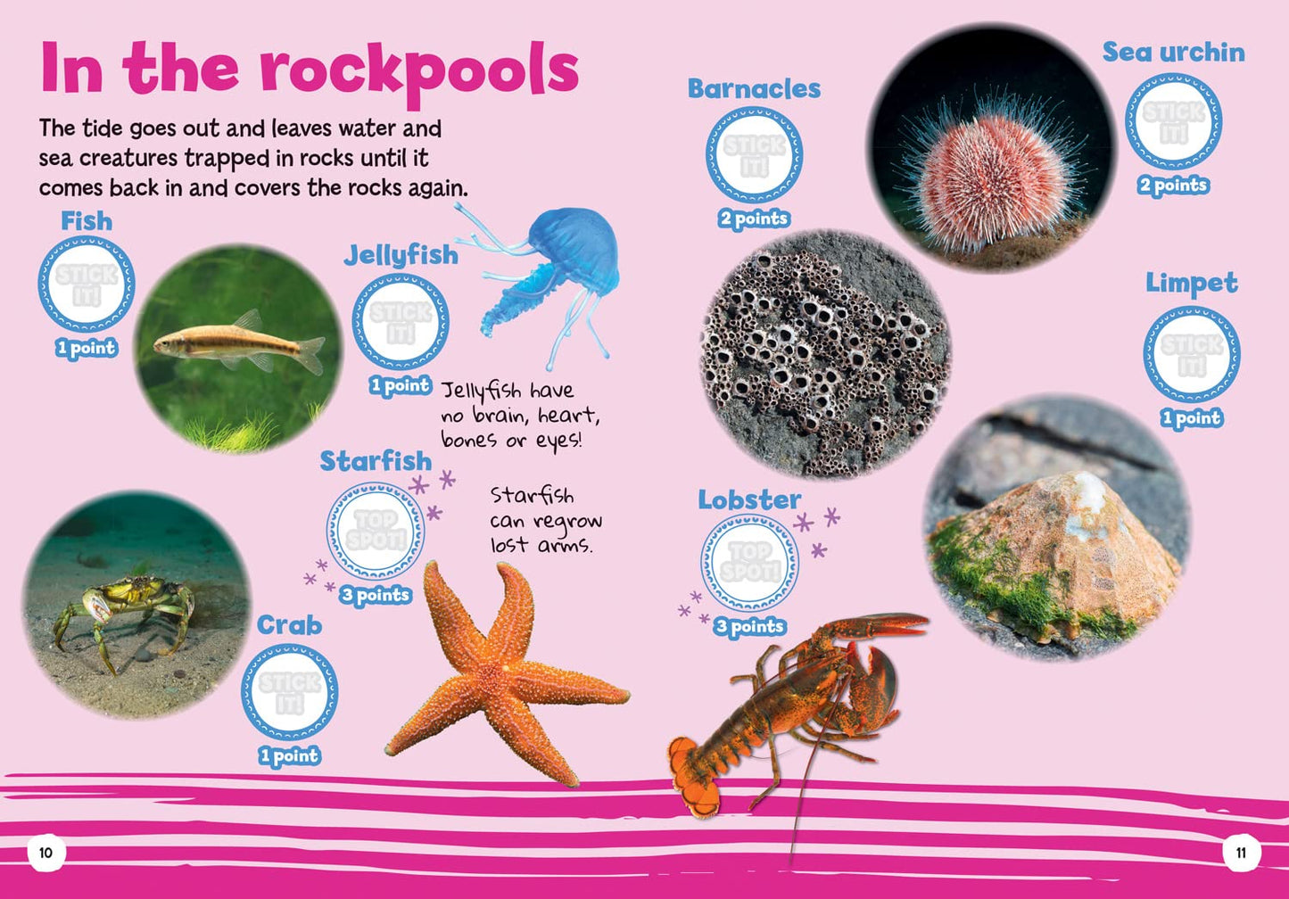 I-Spy: My First Seaside Spy It! Stick It!