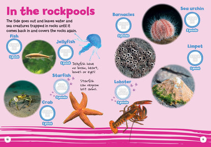 I-Spy: My First Seaside Spy It! Stick It!