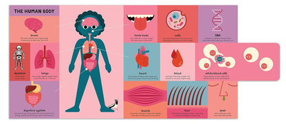 First Book of Everything