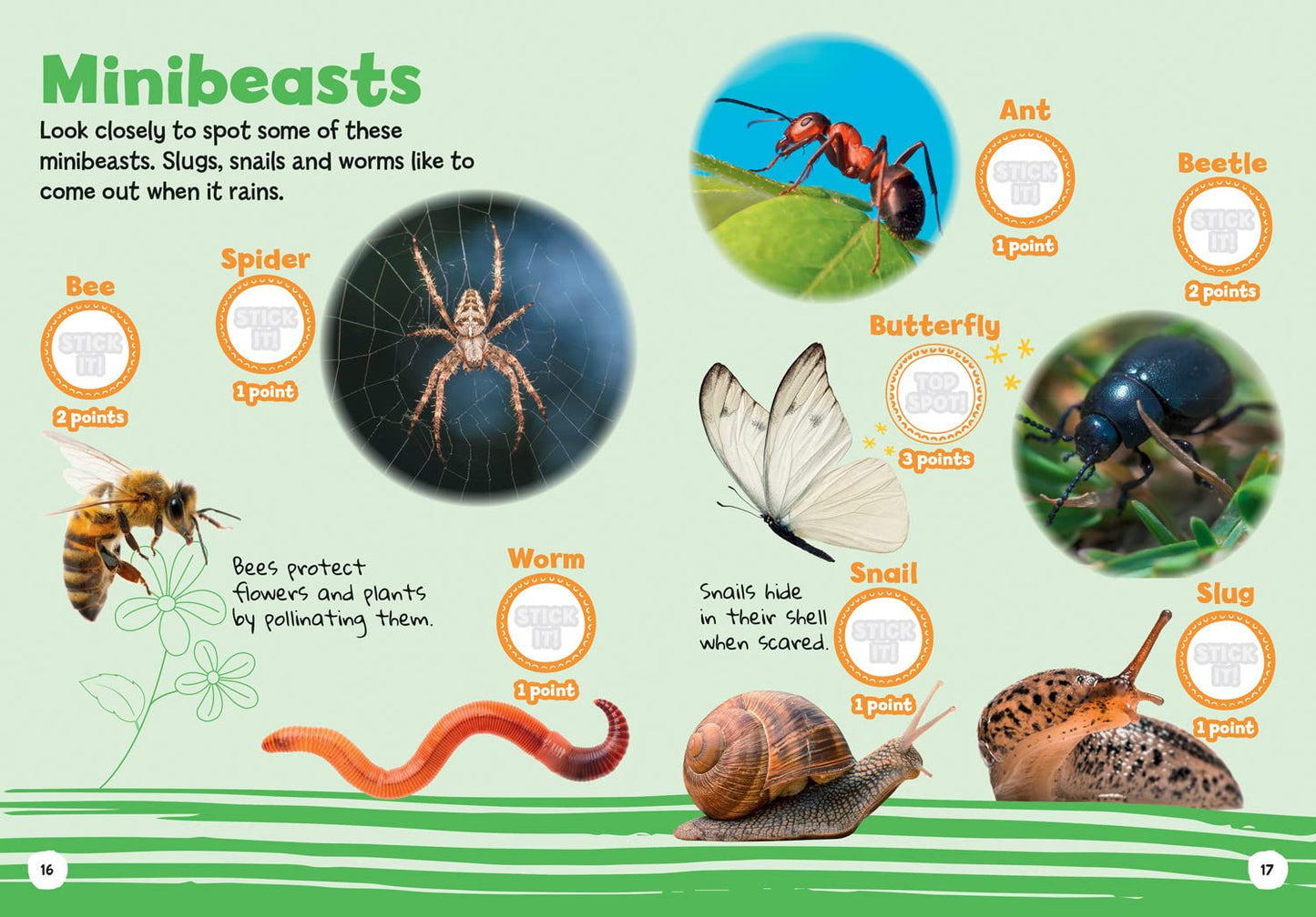 I-Spy: My First Park Spy It! Stick It!