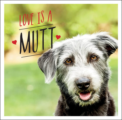 Love is a Mutt: A Dog-Tastic Celebration of the World's Cutest Mixed and Cross Breeds (Pack of 10)