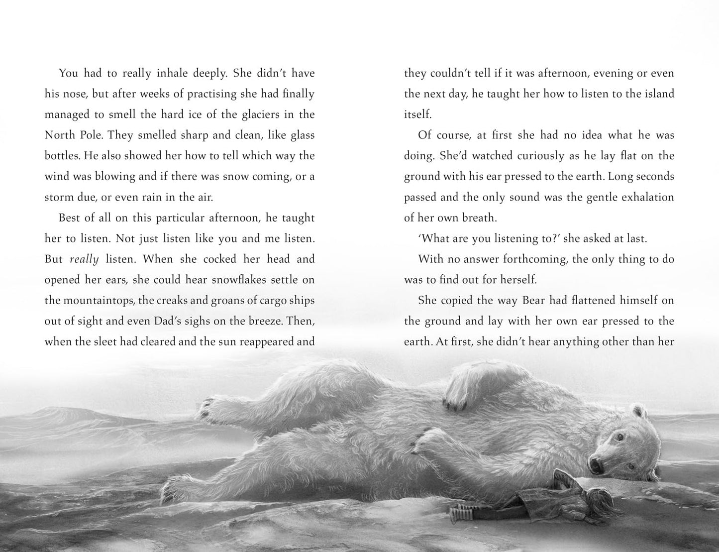 The Last Bear ( Pack of 30 )