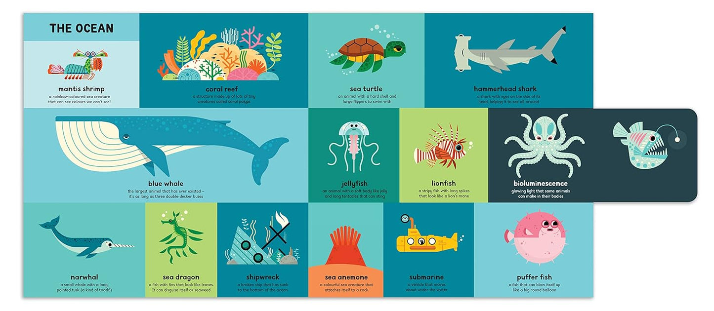 First Book of Everything