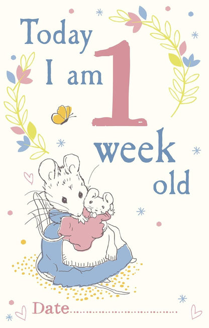 Peter Rabbit: Baby Cards For Milestone Moments
