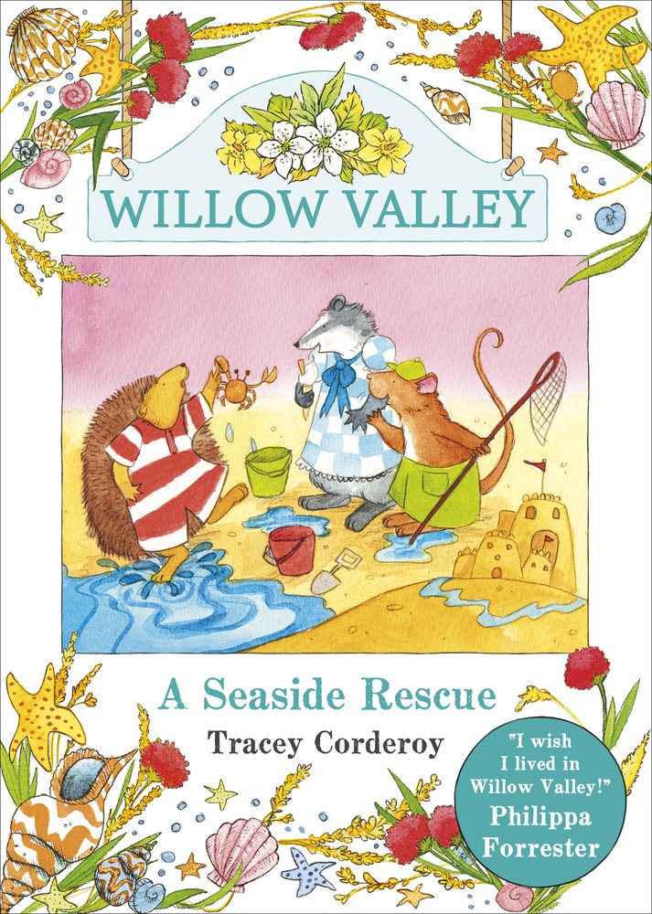 Willow Valley - A Seaside Rescue (Pack of 10)