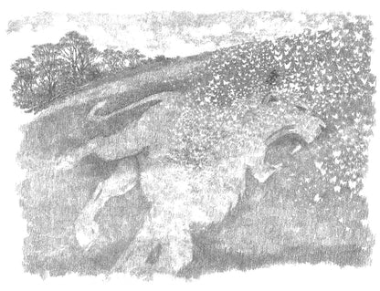 The butterfly lion ( Pack of 30 )