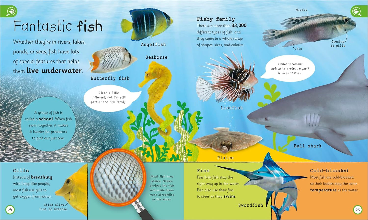 Encyclopedia of Very Important Animals