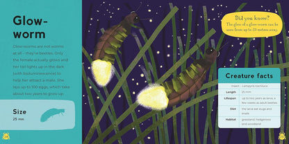 First Book Of Minibeasts