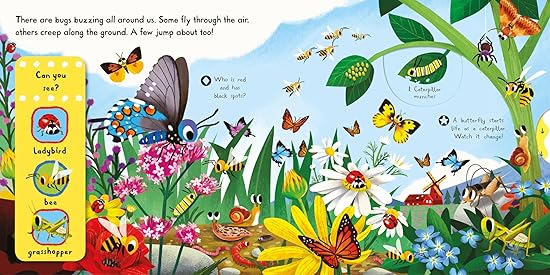 Campbell Push & Pull: Brilliant Bugs