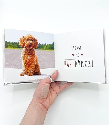 Love is a Cockapoo: A Dog-Tastic Celebration of the World's Cutest Breed  (Pack of 10)