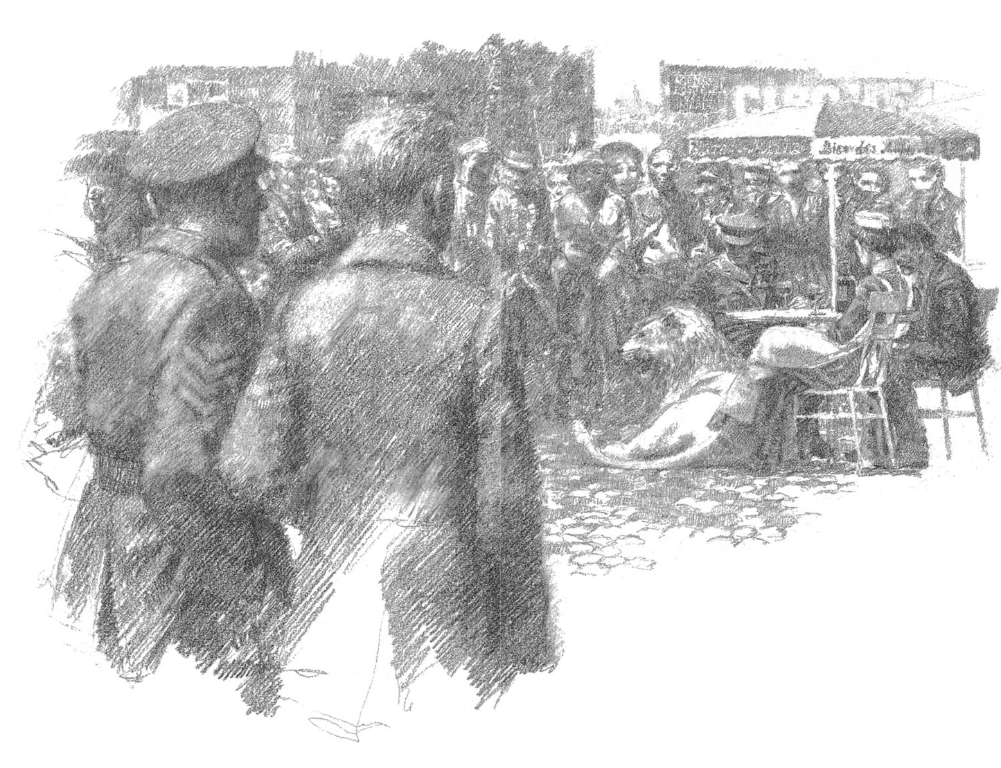 The butterfly lion ( Pack of 30 )