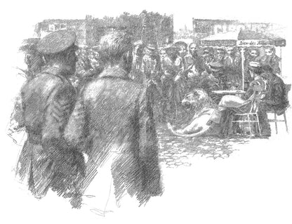 The butterfly lion ( Pack of 30 )