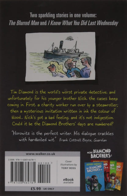 Horowitz: Diamond Brothers in the Blurred Man & I Know What You Did Last Wednesday