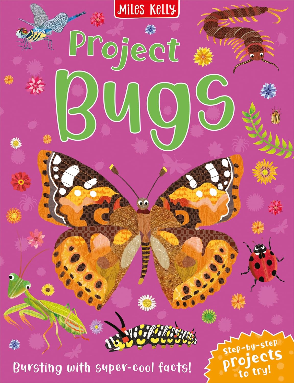 Project Bugs