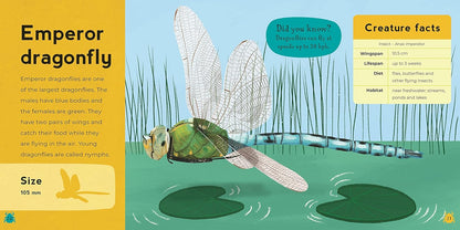 First Book Of Minibeasts