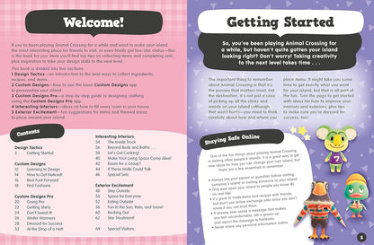 Animal Crossing New Horizons Pro Island Designer