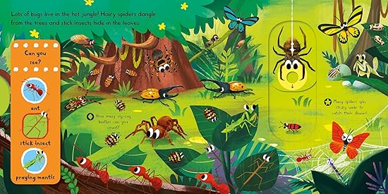 Campbell Push & Pull: Brilliant Bugs