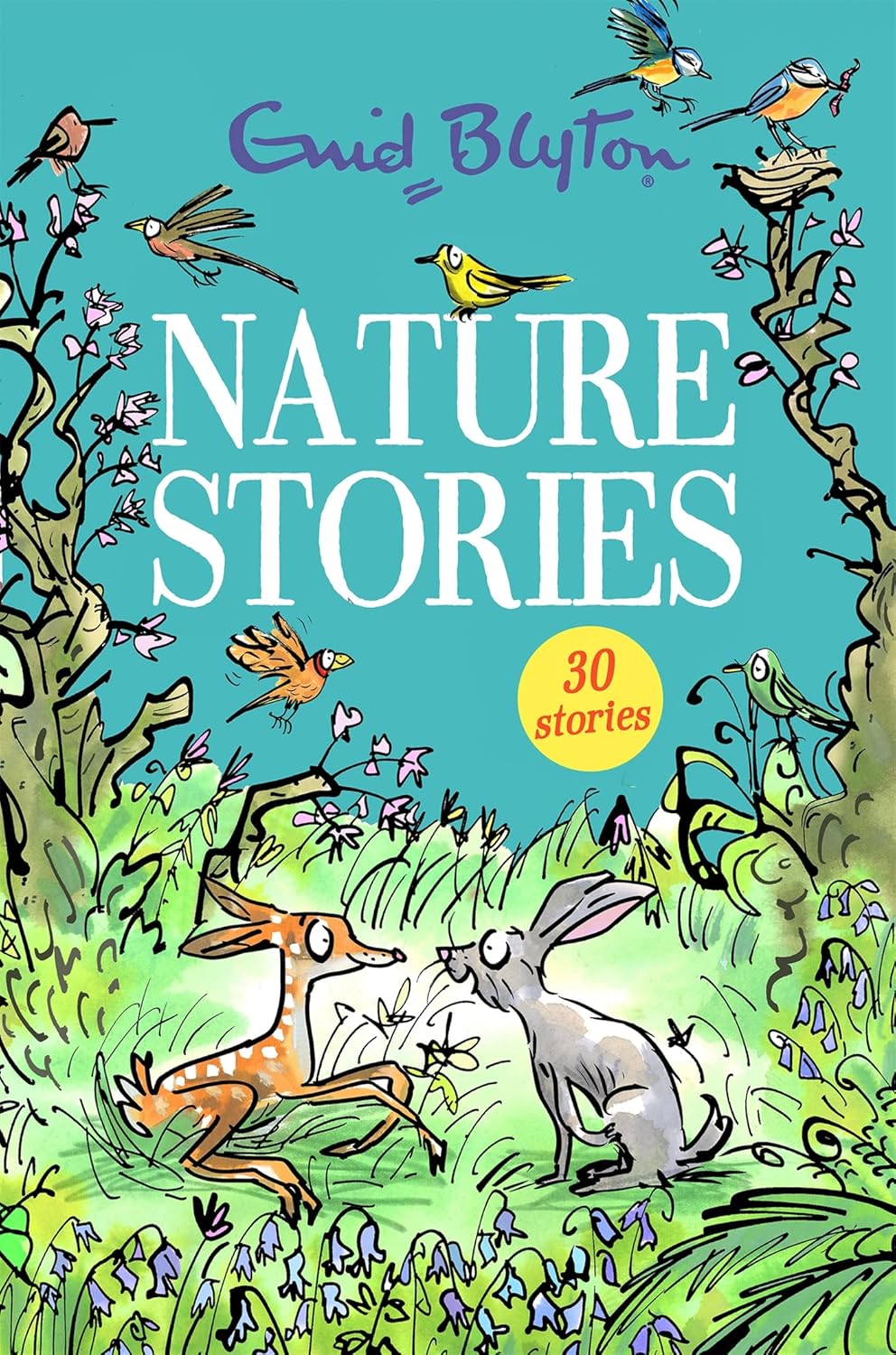 Blyton: Nature Stories