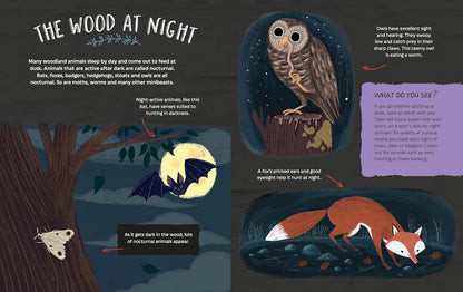 Adventures in Nature: Exploring a Wood