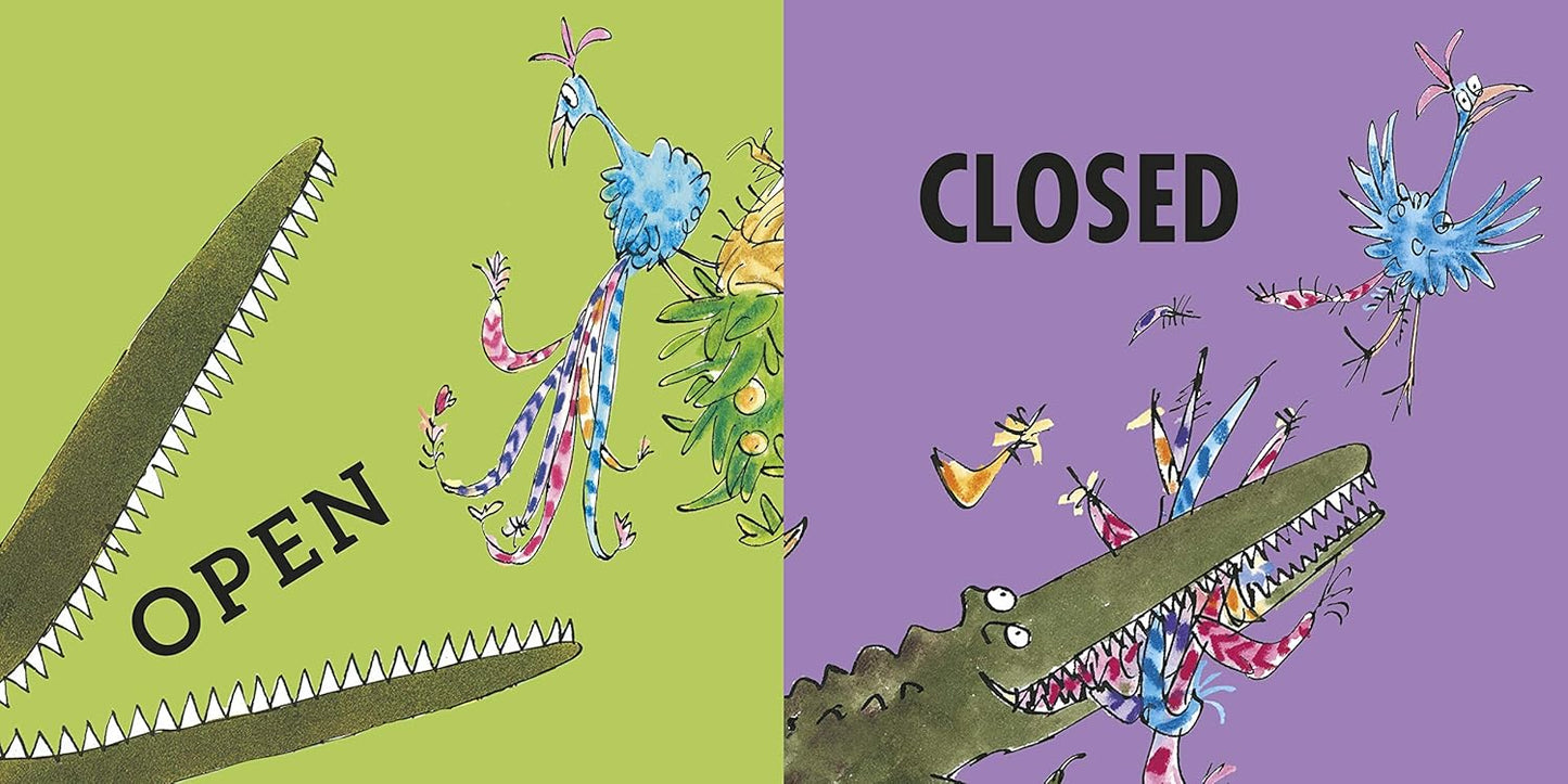 Roald Dahl's Opposites