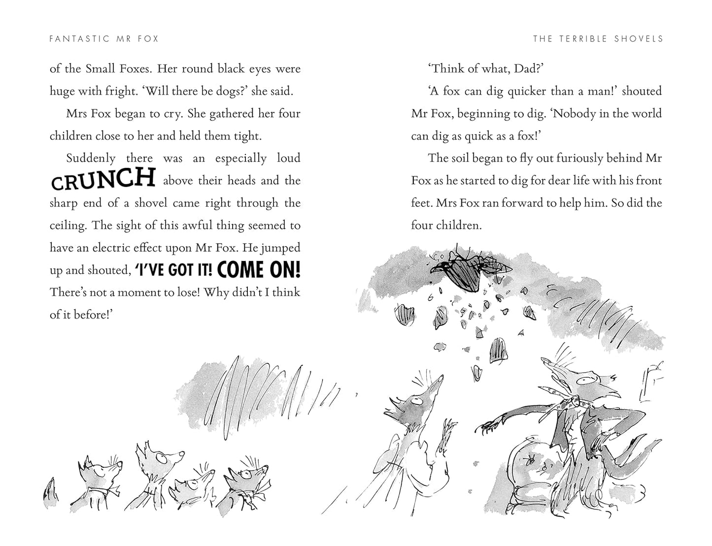 Fantastic Mr Fox ( Pack of 30 )