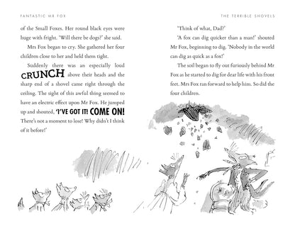 Fantastic Mr Fox ( Pack of 30 )