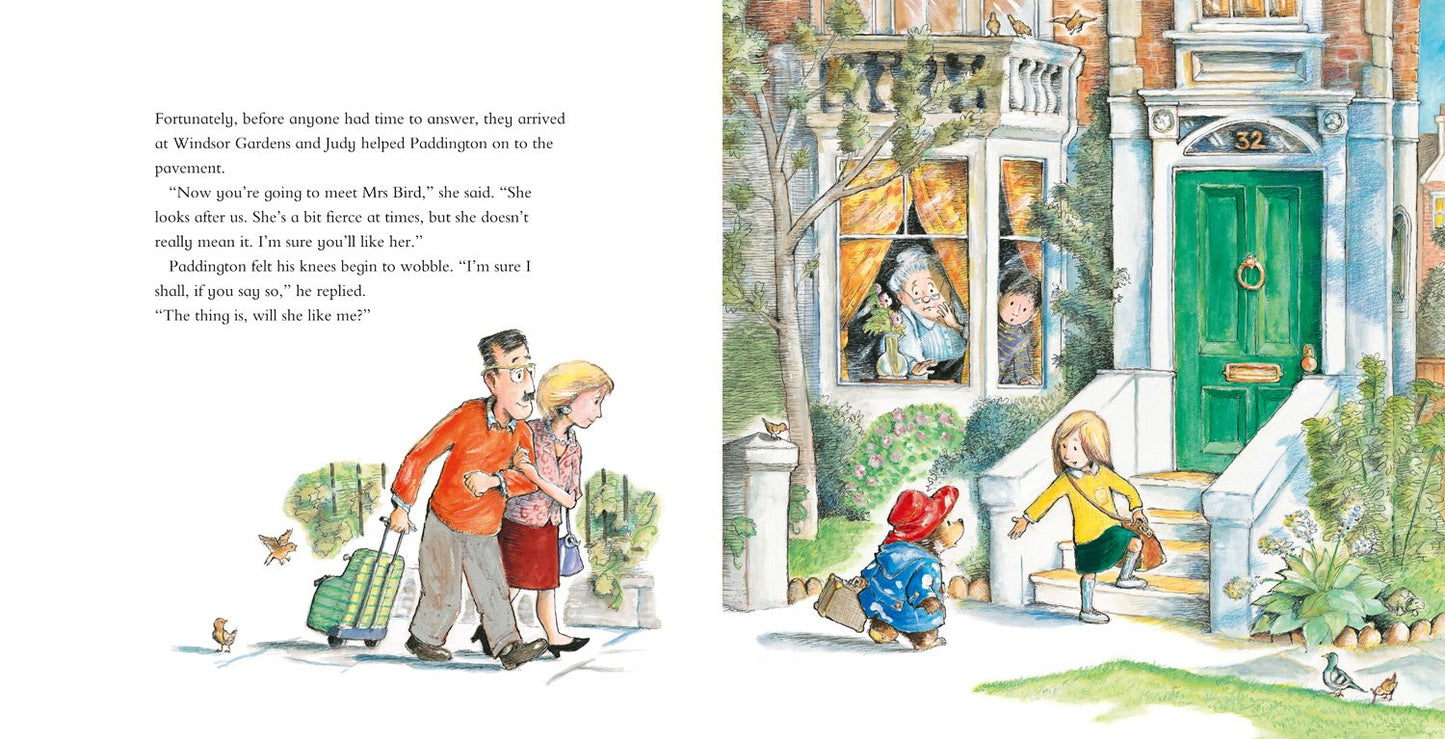 Paddington ( Pack of 30 )