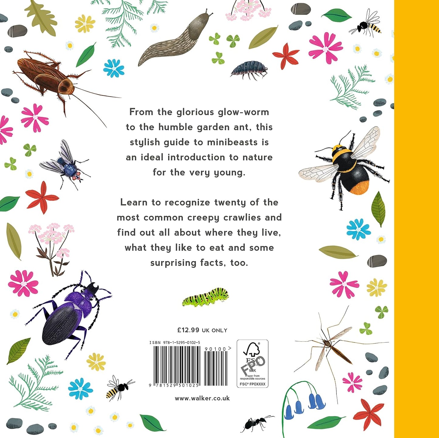 First Book Of Minibeasts