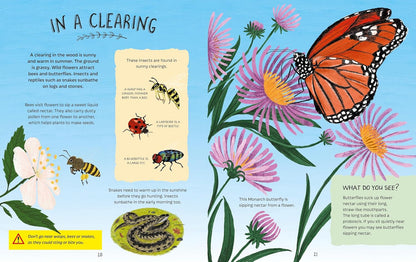 Adventures in Nature: Exploring a Wood